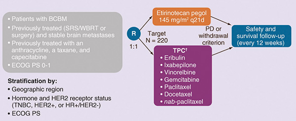伴脑转移的乳腺癌 Etirinotecan pegol治疗与化疗无显著差别