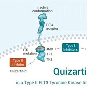新发FLT3-ITD阴性AML quizartinib联合标准化疗显著延永生存期