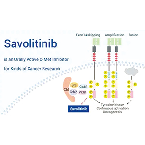 EGFR突变阳性且MET扩增NSCLC 后线应用赛沃替尼联合奥希替尼显著优于标准化疗