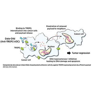 一线奥希替尼失败的晚期NSCLC 奥希替尼联合Dato-DXd有临床获益